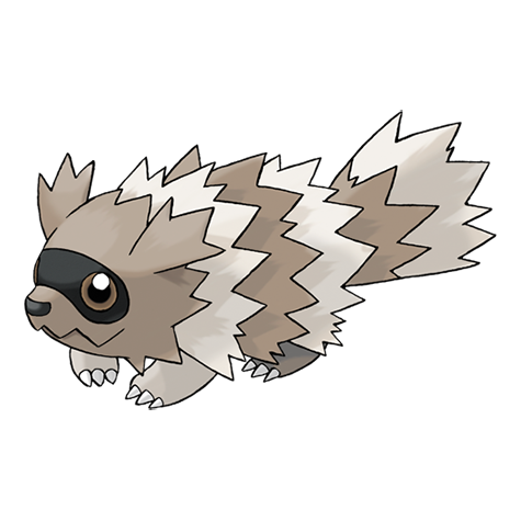 Official Zigzagoon artwork - cute Zigzagoon Pokémon card collector guide