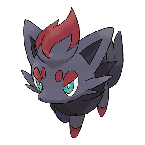 Official Zorua artwork - cute Zorua Pokémon card collector guide